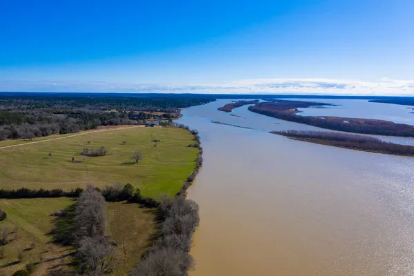 a view of a flower pot