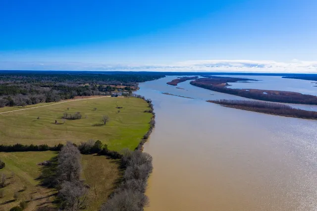 a view of a flower pot