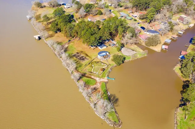 a view of a large tree with yard in front of it