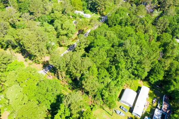 a view of a yard