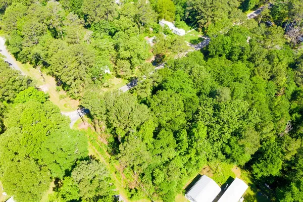 a view of a yard