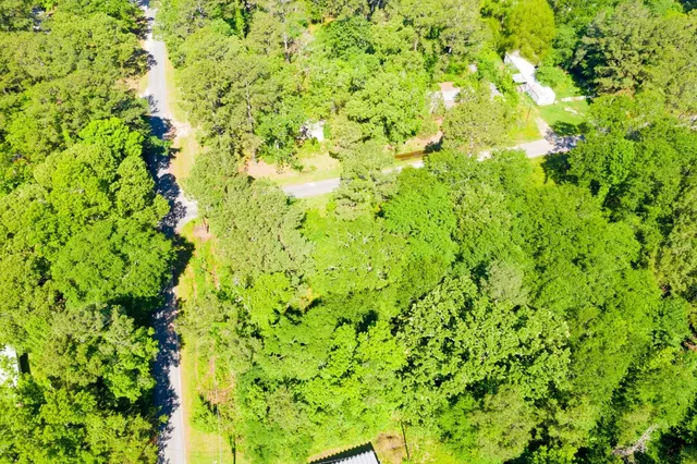 a view of a big yard