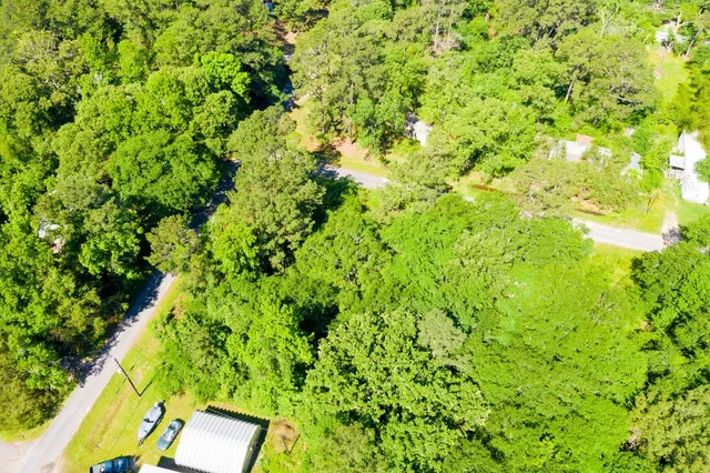 a view of a big yard with plants and large trees