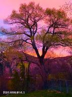 2620 Dancing Apache Road Sedona, AZ 86336 - Photo 72 of 72 sunset 2