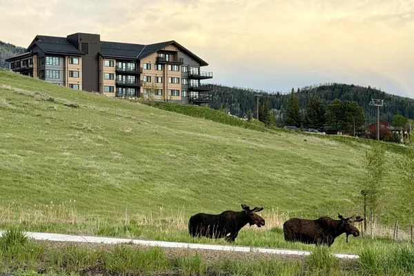 $1,800,000 | 1550 Amble Drive, Unit 202, Steamboat Springs, CO 80487