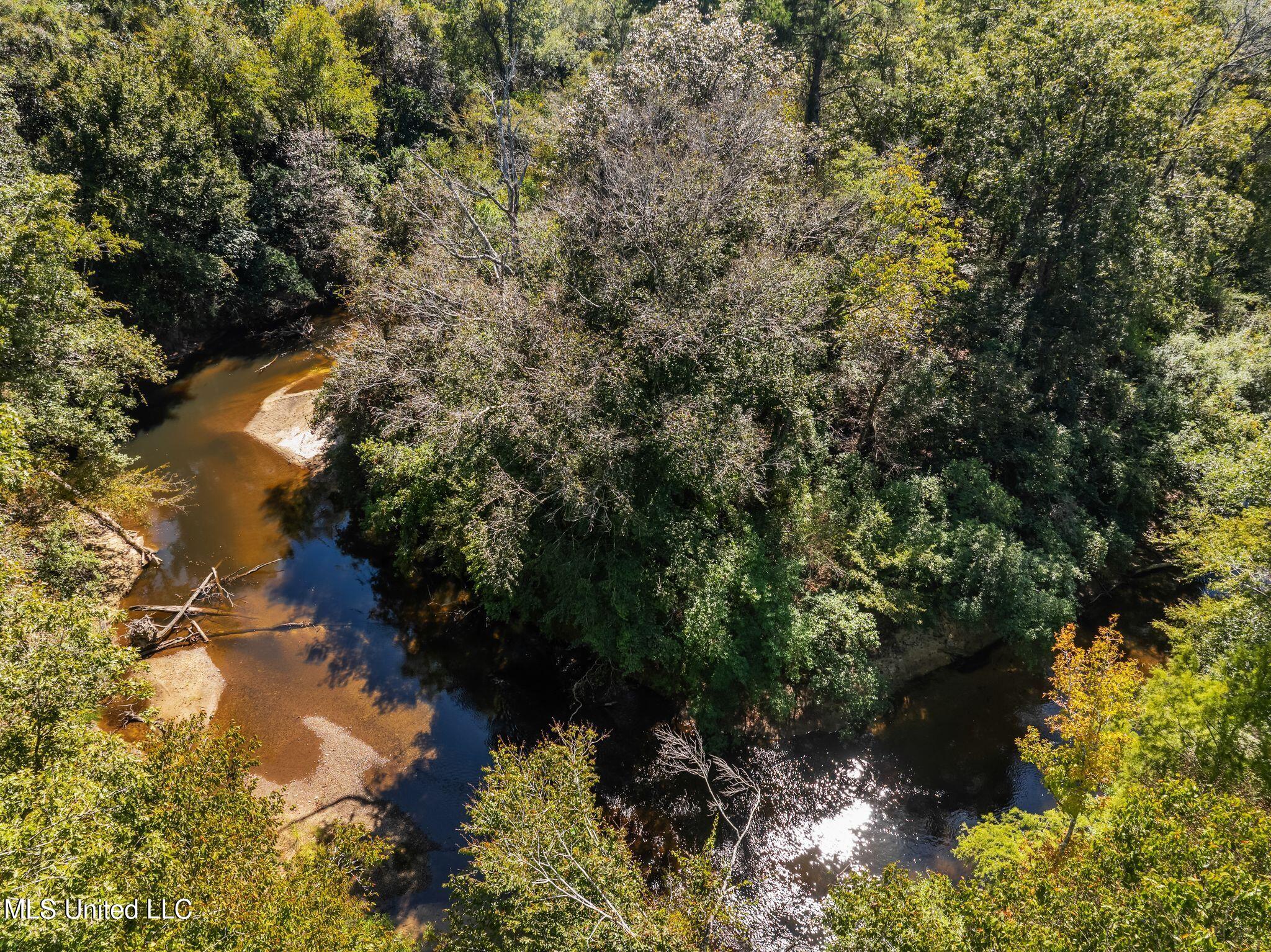 274 Game Reserve Road Columbia, MS 39429 - Photo 30 of 44 274_Game_Reserve_Rd-32