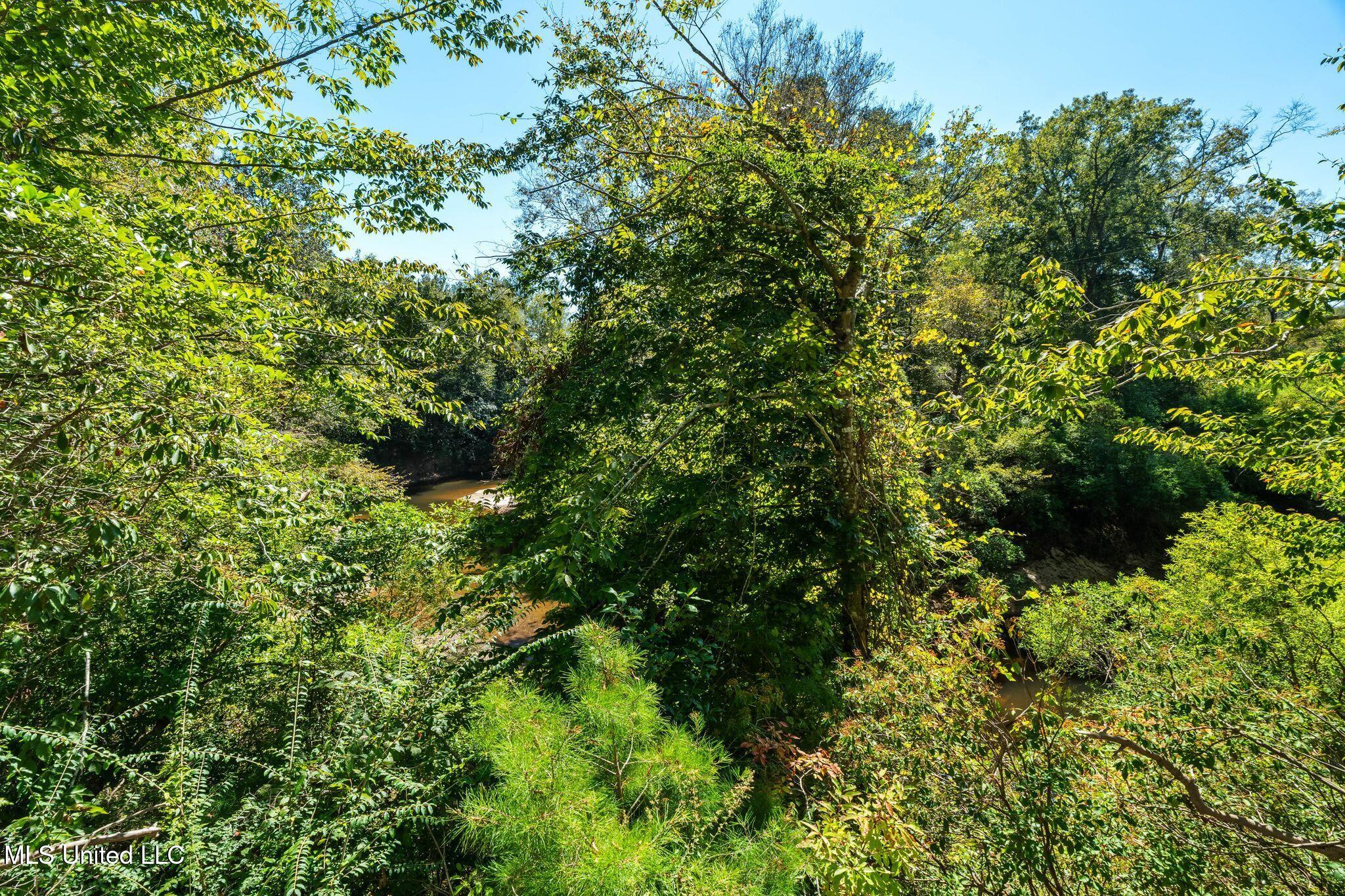 274 Game Reserve Road Columbia, MS 39429 - Photo 31 of 44 274_Game_Reserve_Rd-33