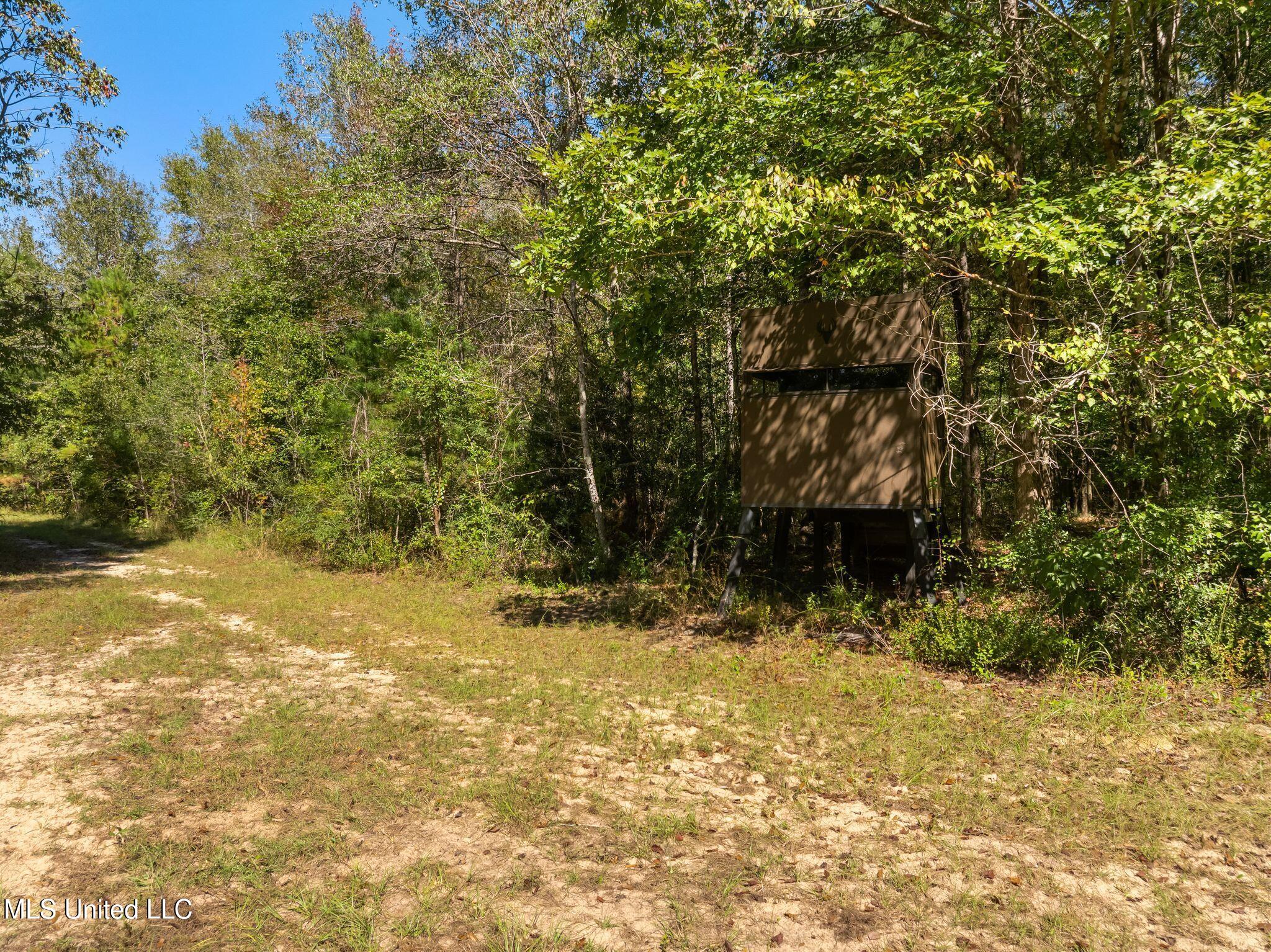 274 Game Reserve Road Columbia, MS 39429 - Photo 34 of 44 274_Game_Reserve_Rd-36