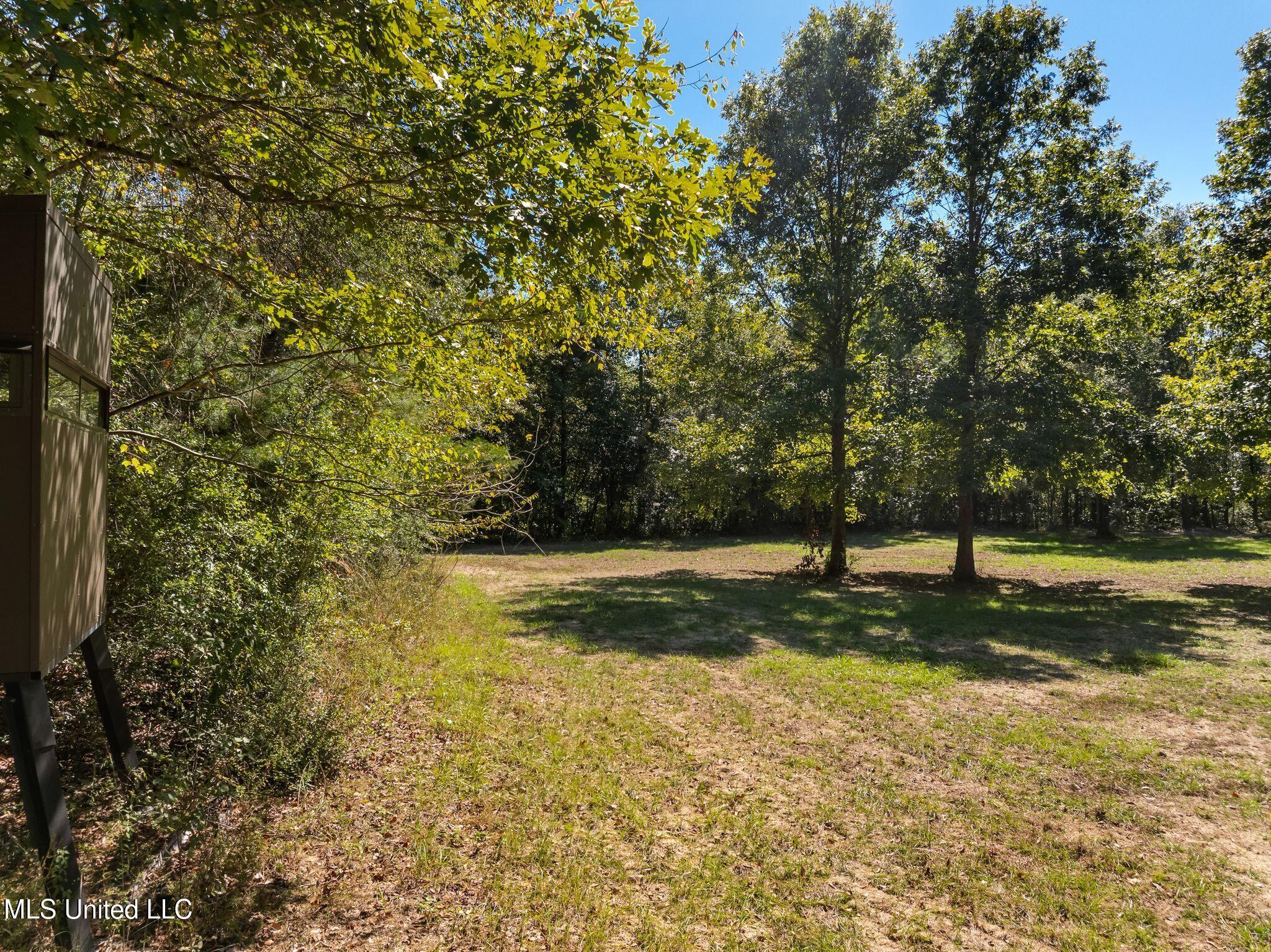 274 Game Reserve Road Columbia, MS 39429 - Photo 35 of 44 274_Game_Reserve_Rd-37