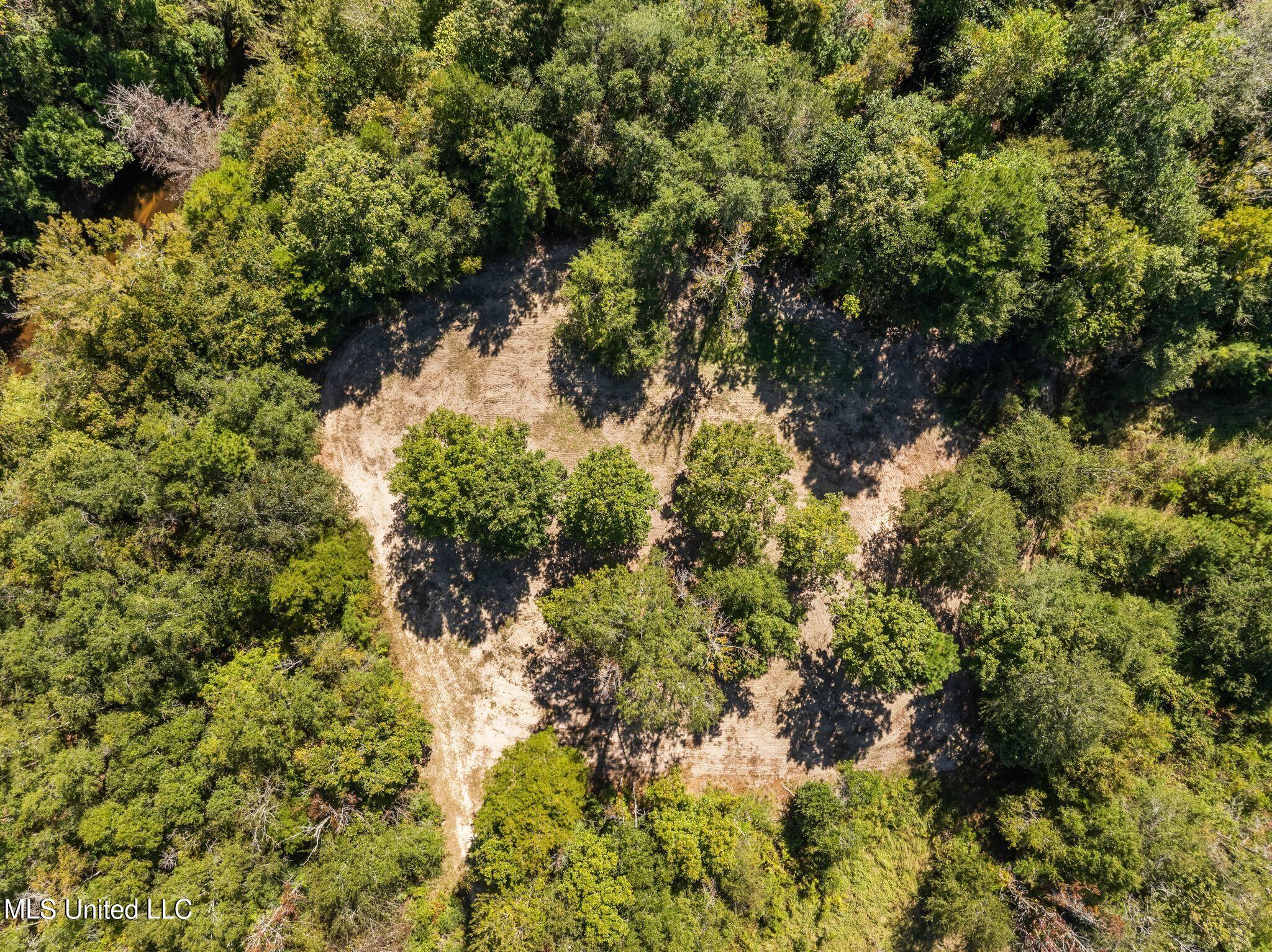 274 Game Reserve Road Columbia, MS 39429 - Photo 39 of 44 274_Game_Reserve_Rd-46