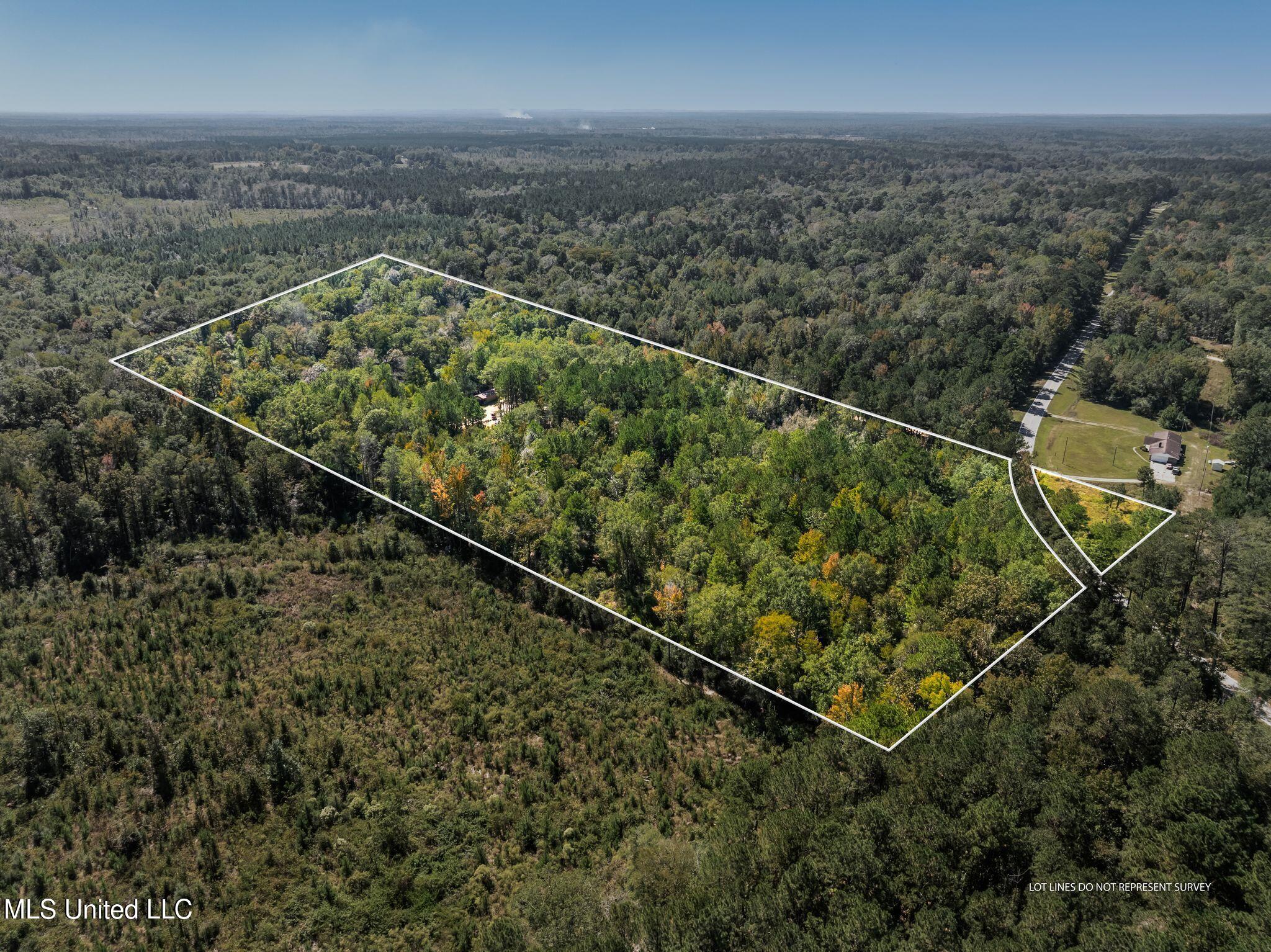 274 Game Reserve Road Columbia, MS 39429 - Photo 4 of 44 274_Game_Reserve_Rd-1