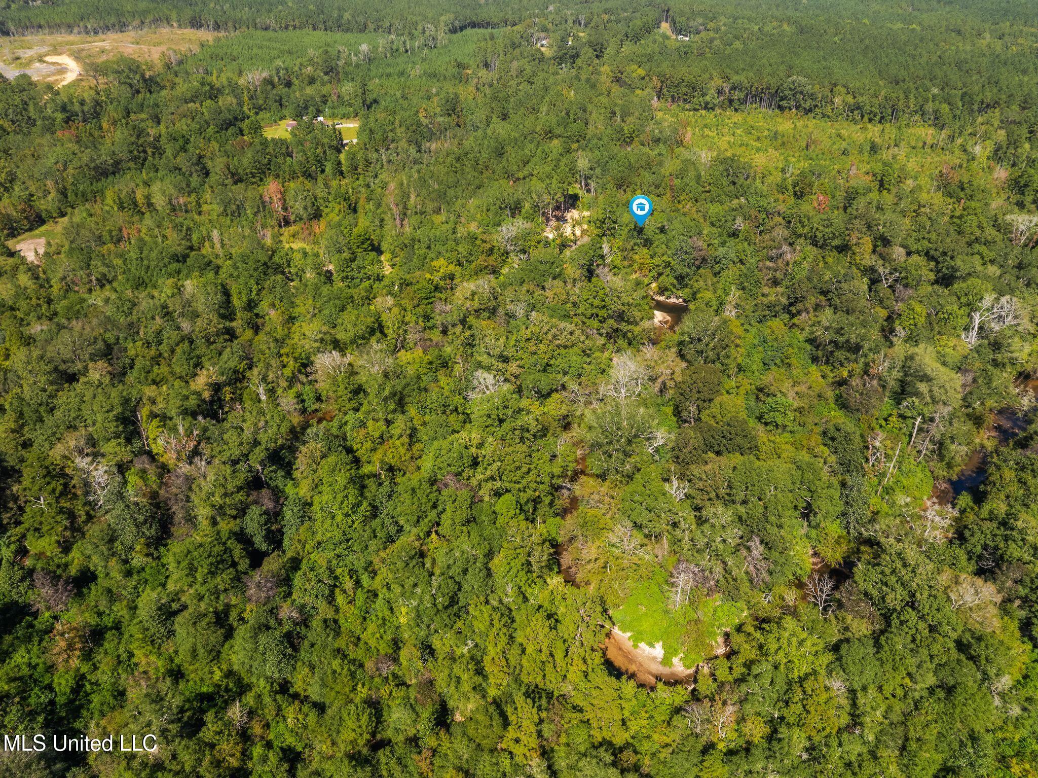 274 Game Reserve Road Columbia, MS 39429 - Photo 43 of 44 274_Game_Reserve_Rd-52