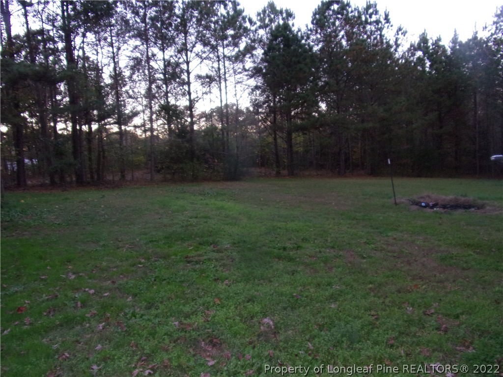 3880 Steel Bridge Road Sanford, NC 27330 - Photo 7 of 7 Gallery Image 7