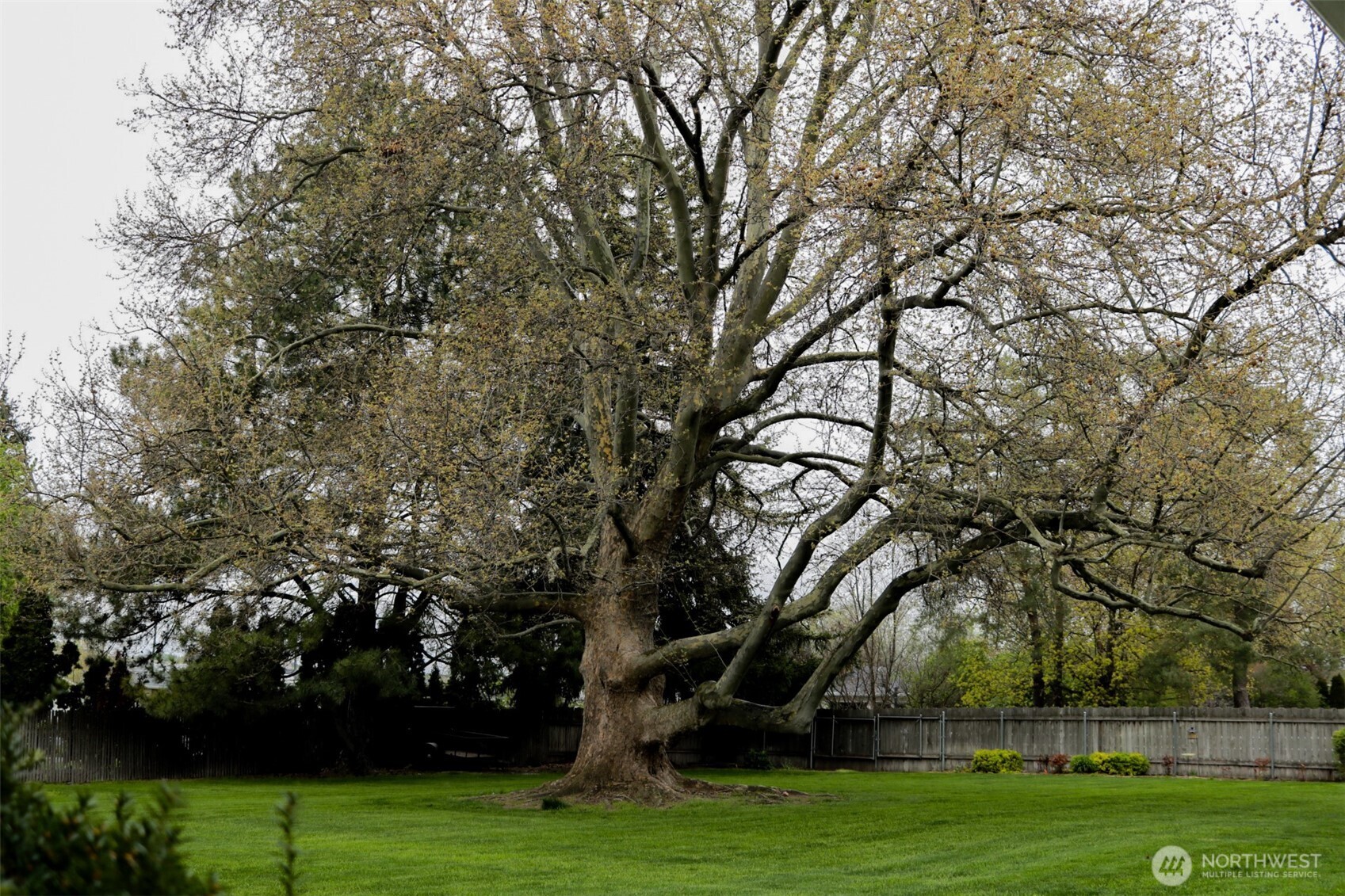 1917 Reser Road Walla Walla, WA 99362 - Photo 22 of 31