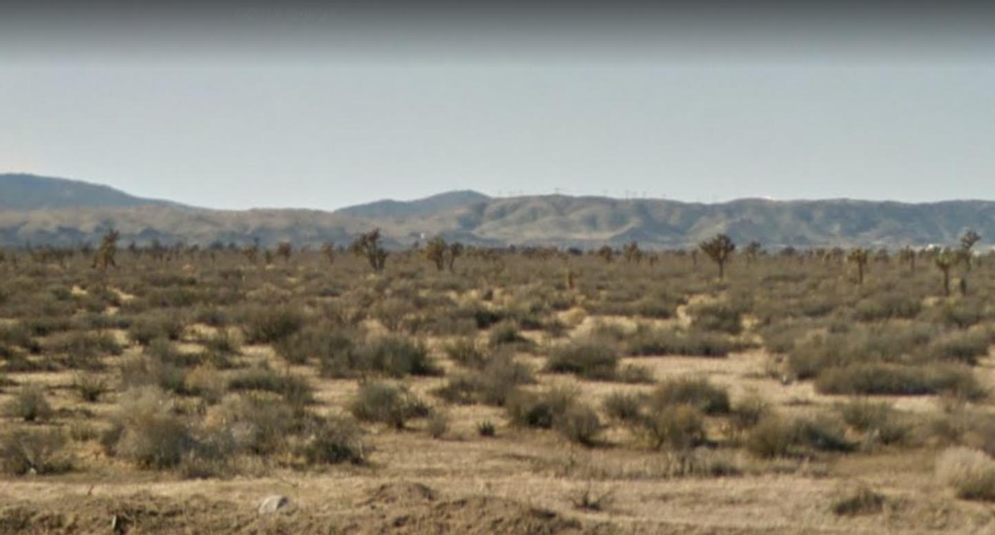 M12 Division Street Palmdale, CA 93551 - Photo 3 of 7 a view of a mountain in the distance in a field