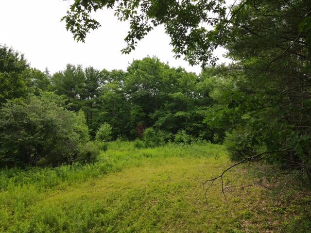 Lot 26-c-d Lot 26-c-d Solon Road North Anson, ME 04958 - Photo 8 of 13 758C5390-92CF-442C-803F-23024524EBA5