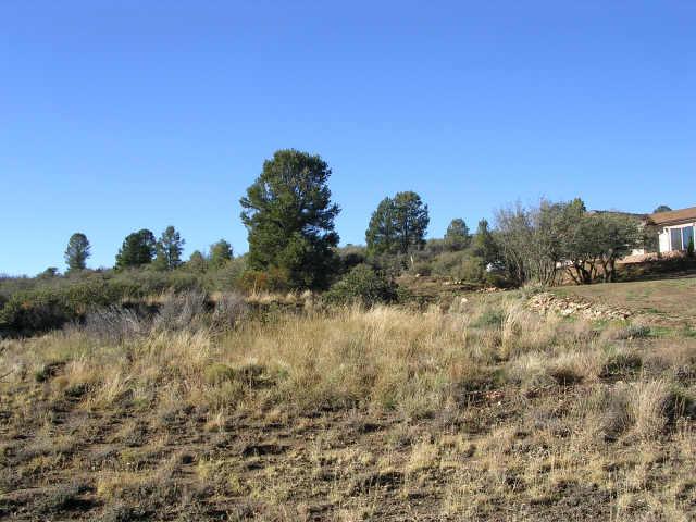 18293 Reeves Road Peeples Valley, AZ 86332 - Photo 2 of 2 Additional Photo