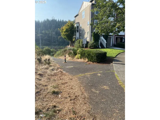 a view of a yard with plants