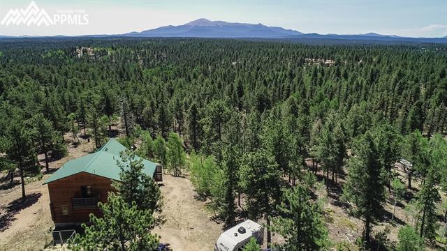 7962 Cedar Mountain Road Divide, CO 80814 - Photo 31 of 33 Gallery Image 31