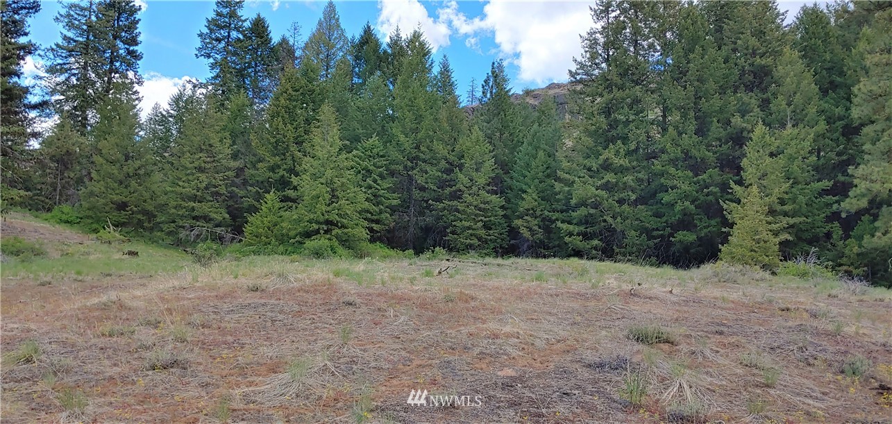 259 Stacy Road Republic, WA 99166 - Photo 11 of 13