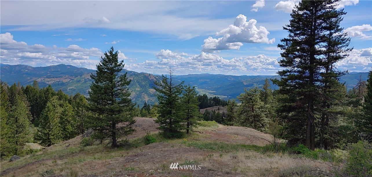 259 Stacy Road Republic, WA 99166 - Photo 12 of 13