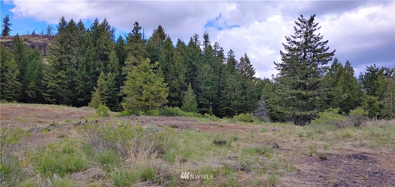 259 Stacy Road Republic, WA 99166 - Photo 13 of 13