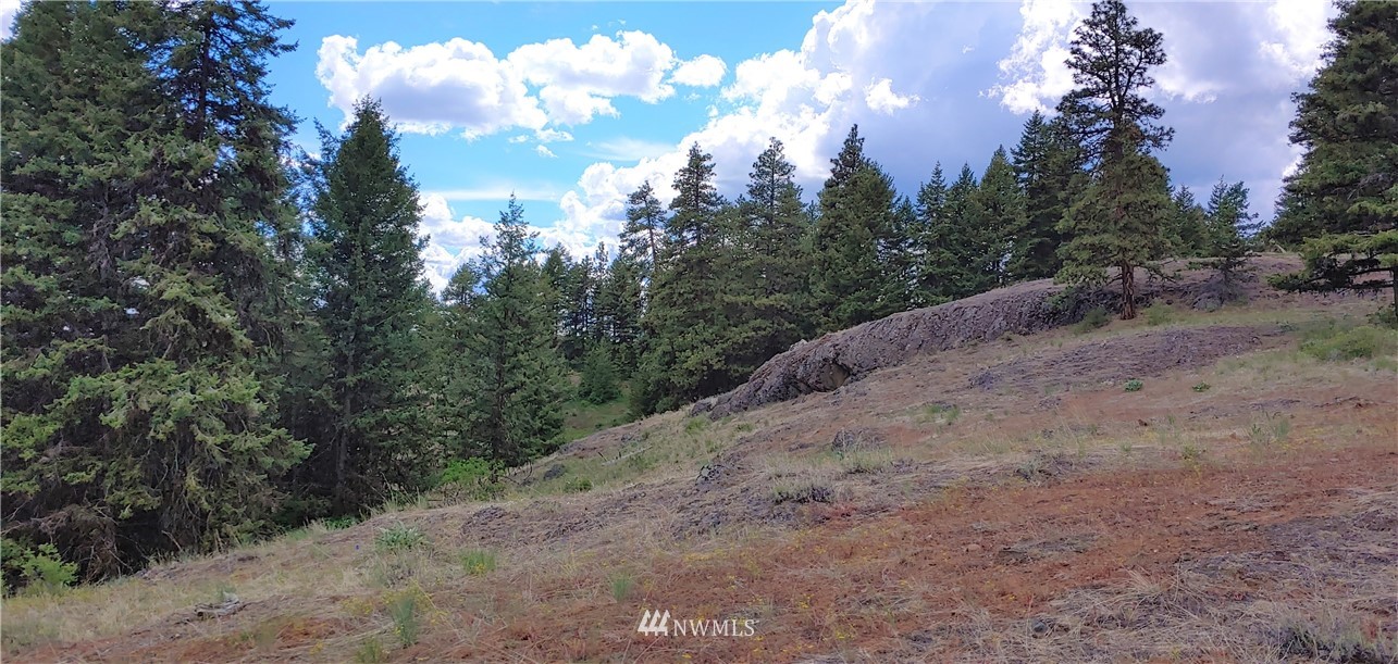 259 Stacy Road Republic, WA 99166 - Photo 10 of 13