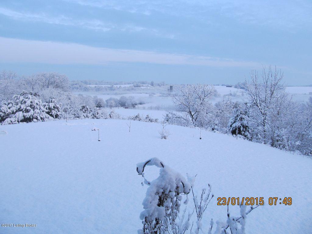 1365 Lenore Road Coxs Creek, KY 40013 - Photo 32 of 35 Snow 2
