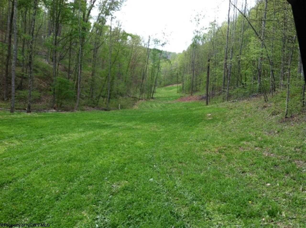 0 Falls Run Road Ireland, WV 26376 - Photo 9 of 13 Gallery Image 9