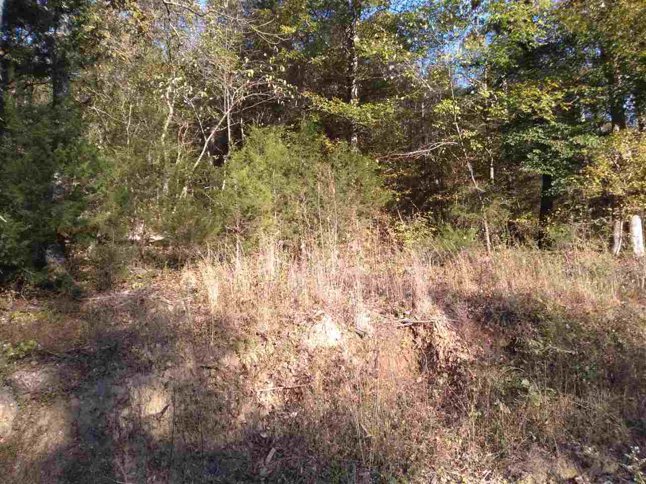1 Warren Hollow Road Clifton, TN 38425 - Photo 1 of 10 Gallery Image 1