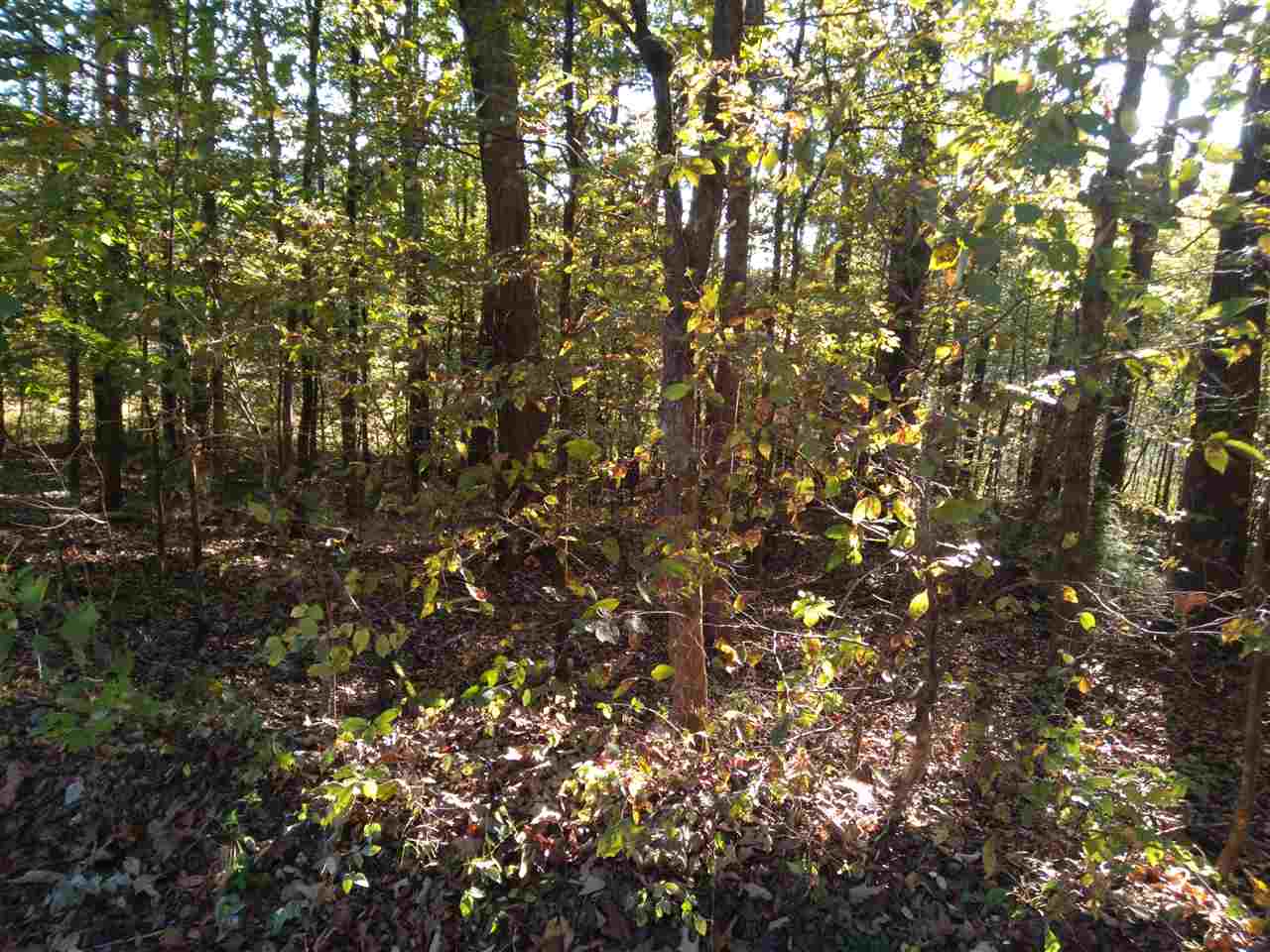 1 Warren Hollow Road Clifton, TN 38425 - Photo 2 of 10 Gallery Image 2
