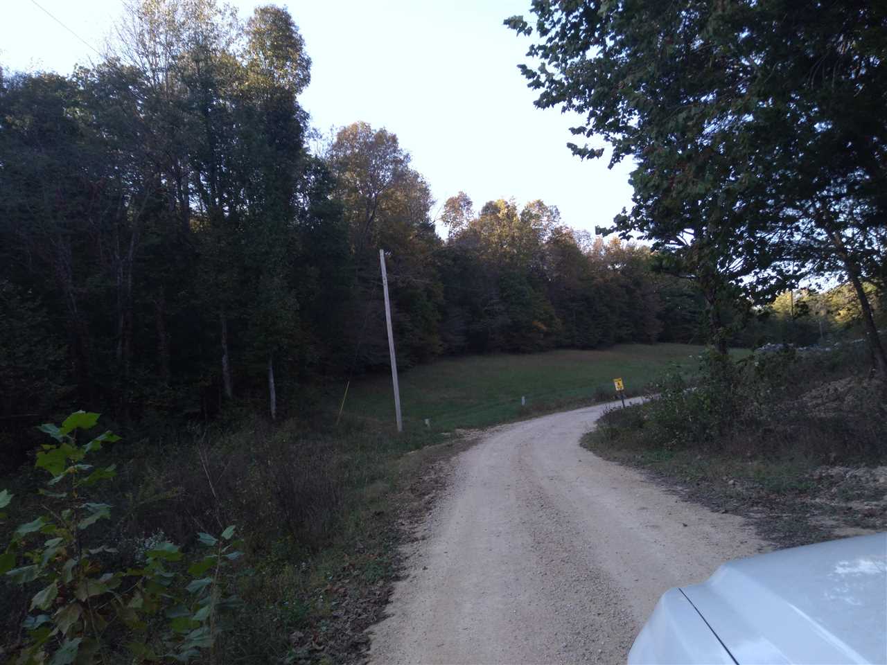 1 Warren Hollow Road Clifton, TN 38425 - Photo 5 of 10 Gallery Image 5