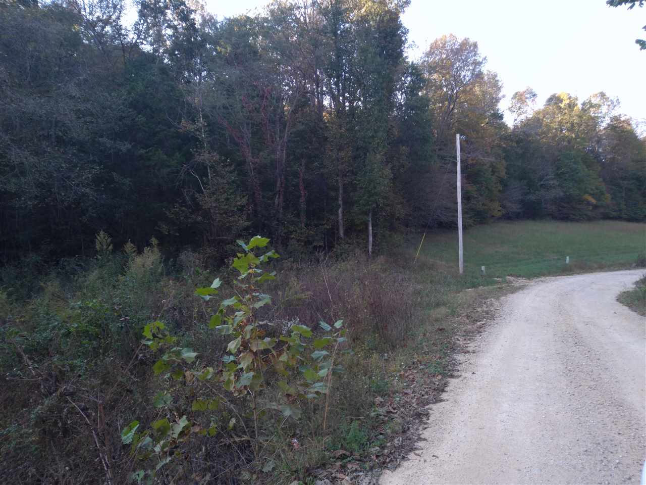 1 Warren Hollow Road Clifton, TN 38425 - Photo 6 of 10 Gallery Image 6