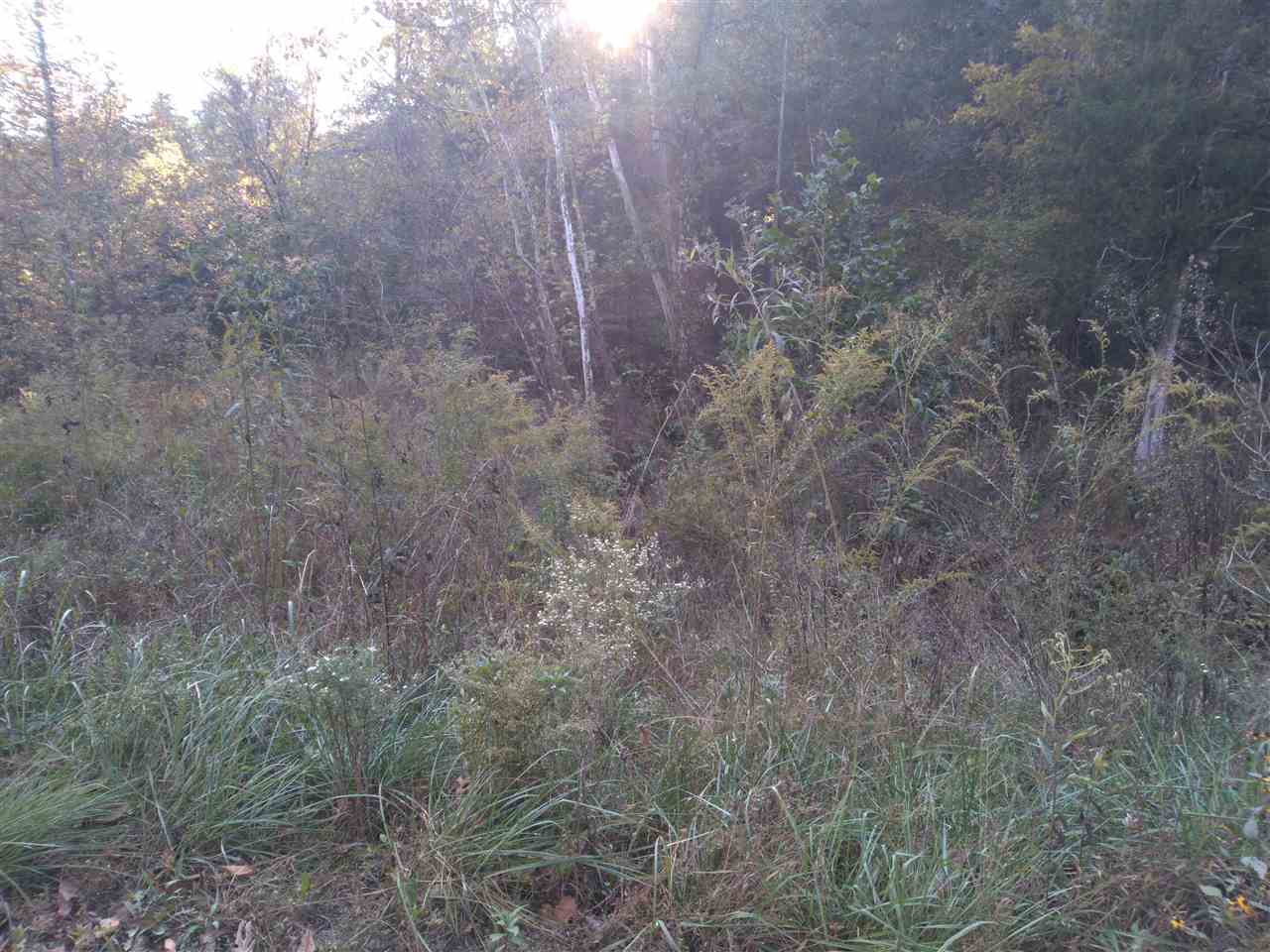 1 Warren Hollow Road Clifton, TN 38425 - Photo 7 of 10 Gallery Image 7