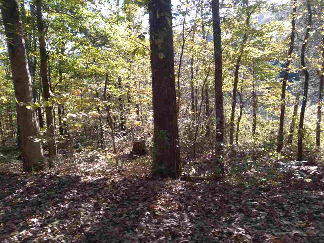 1 Warren Hollow Road Clifton, TN 38425 - Photo 10 of 10 Gallery Image 10