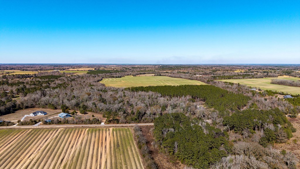 0 Bruner Pond Road Ashford, AL 36312 - Photo 9 of 30