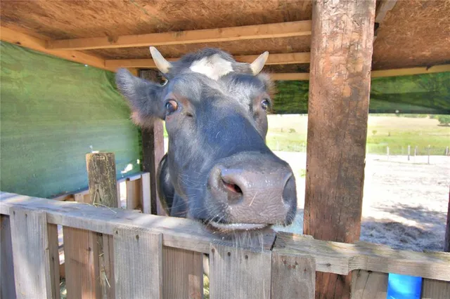 an aerial view of a house with a garden and mountain view in back