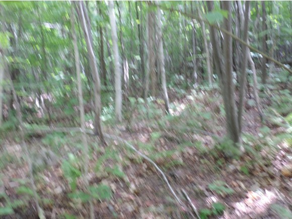1099 Gibbs Road Newport Town, VT 05857 - Photo 3 of 9 Gallery Image 3