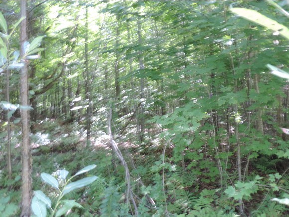 1099 Gibbs Road Newport Town, VT 05857 - Photo 5 of 9 Gallery Image 5