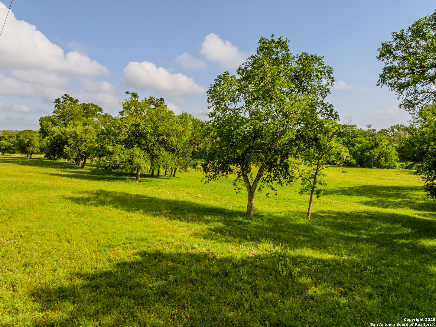 Lot1 Cosper Comfort, TX 78013 - Photo 17 of 48 a view of yard with swimming pool and green space