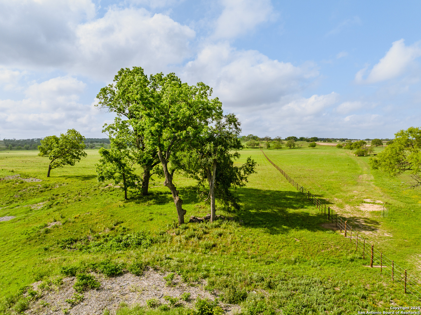 Lot1 Cosper Comfort, TX 78013 - Photo 19 of 48 a view of a garden