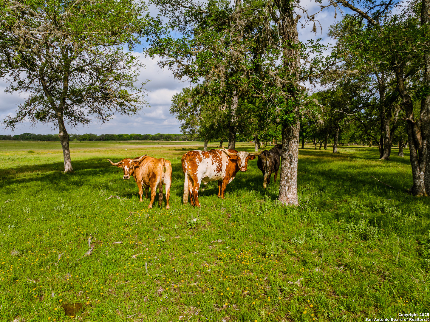 Lot1 Cosper Comfort, TX 78013 - Photo 33 of 48 a view of a golf course with an ocean