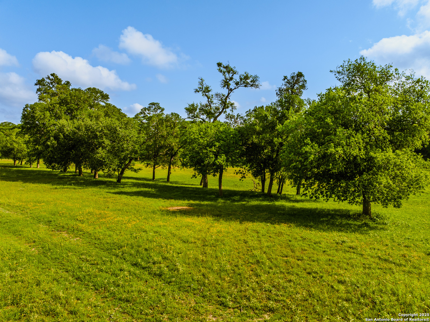 Lot1 Cosper Comfort, TX 78013 - Photo 34 of 48 a view of a golf course