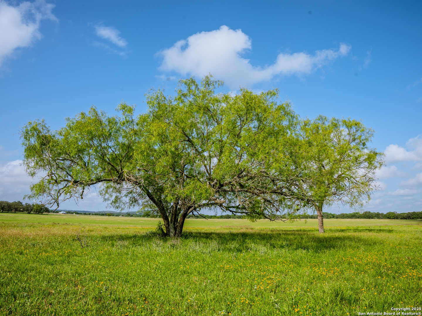 Lot1 Cosper Comfort, TX 78013 - Photo 36 of 48 a view of a garden with a bench