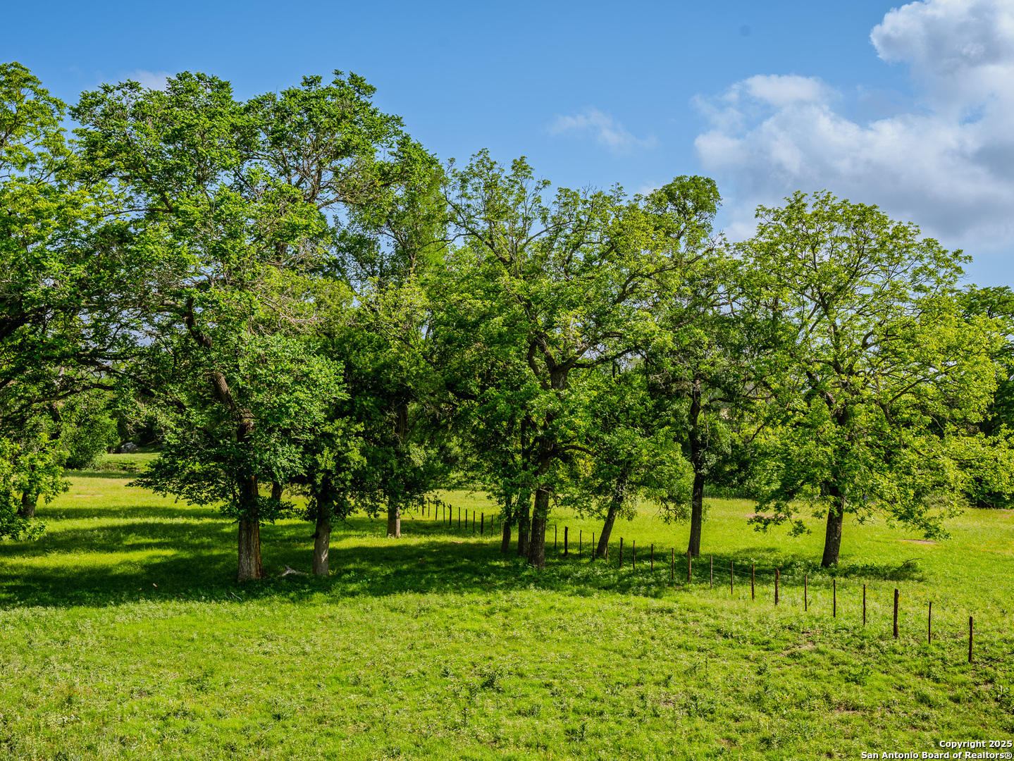 Lot1 Cosper Comfort, TX 78013 - Photo 37 of 48 a big yard with lots of green space and trees