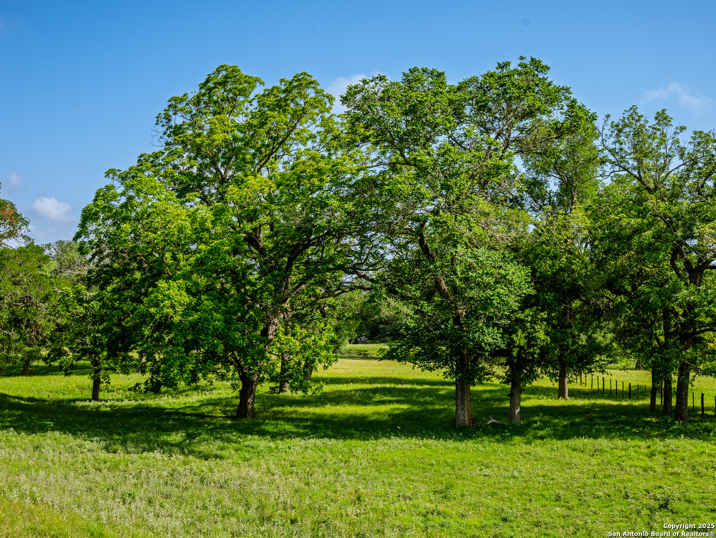 Lot1 Cosper Comfort, TX 78013 - Photo 38 of 48 a view of a park
