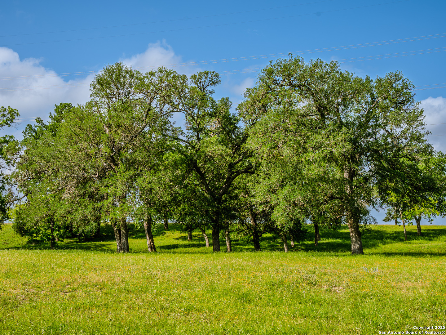 Lot1 Cosper Comfort, TX 78013 - Photo 40 of 48 a view of a trees in a park