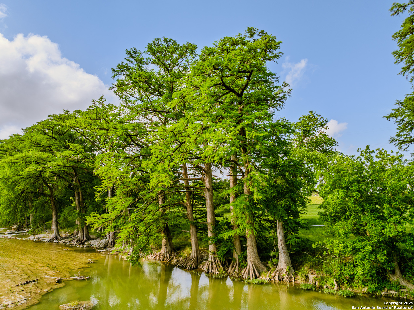 Lot1 Cosper Comfort, TX 78013 - Photo 9 of 48 a backyard of a house with lots of green space and garden