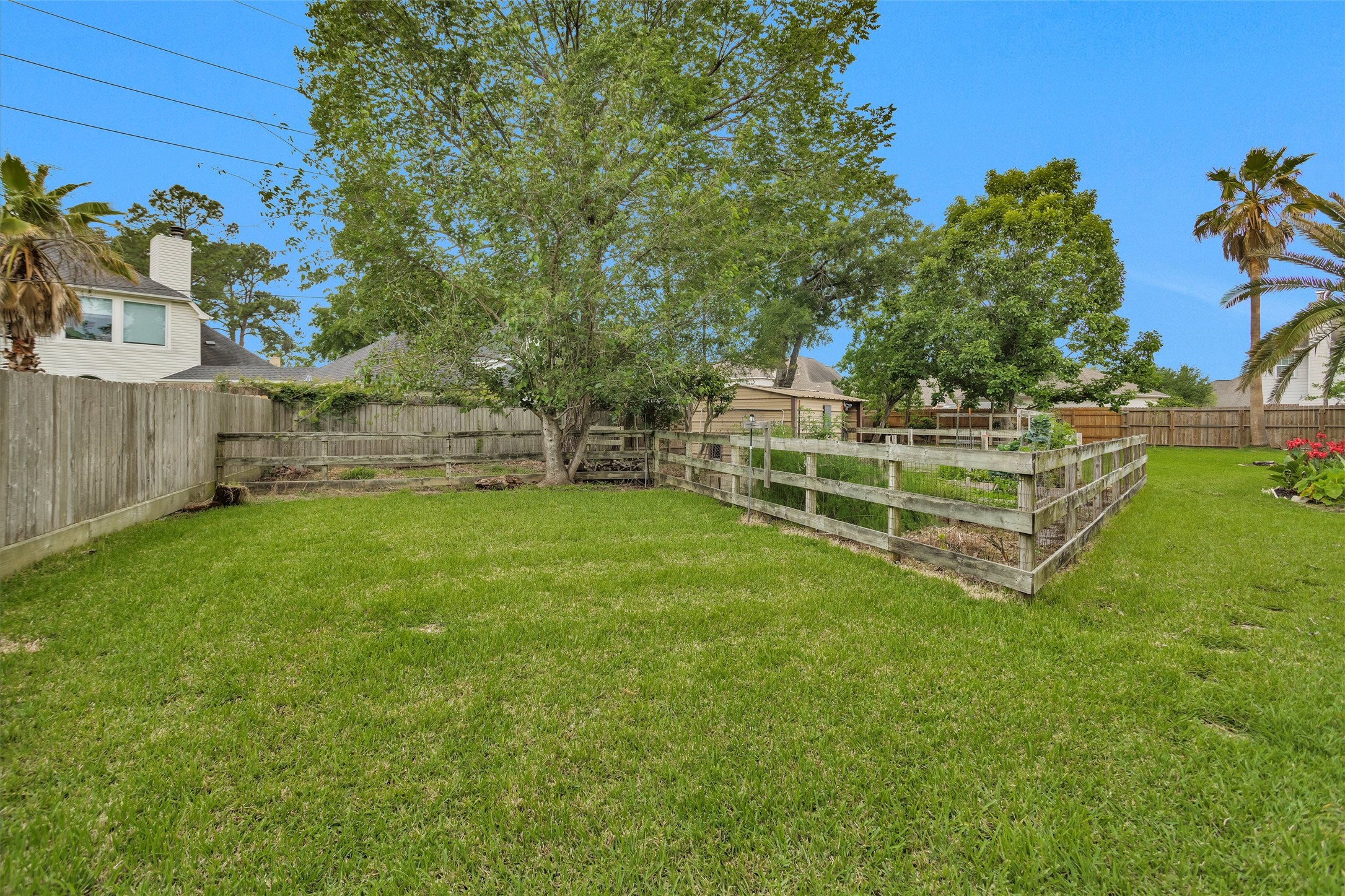 8314 Drew Haven Lane Spring, TX 77379 - Photo 48 of 49 So many opportunities with this yard!