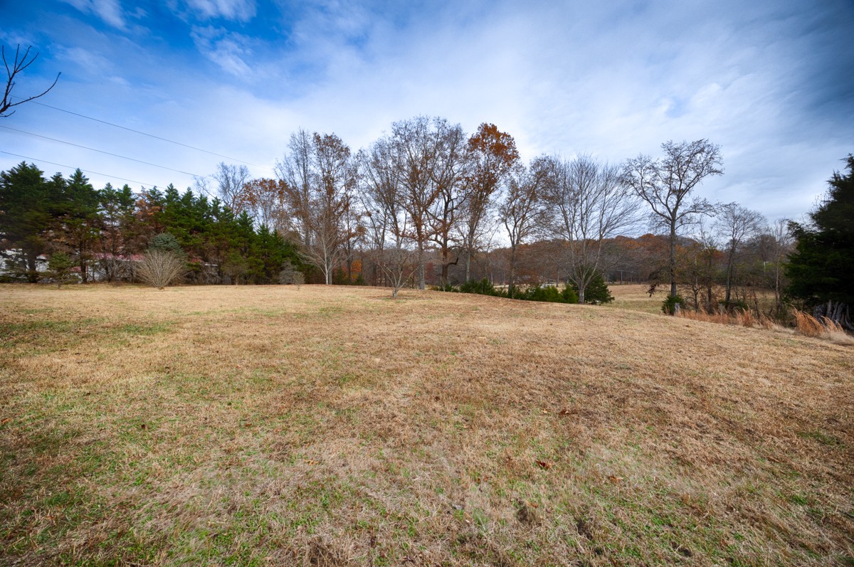 560 Old Poplar School Road Prospect, TN 38477 - Photo 18 of 28 a view of yard with trees in the background
